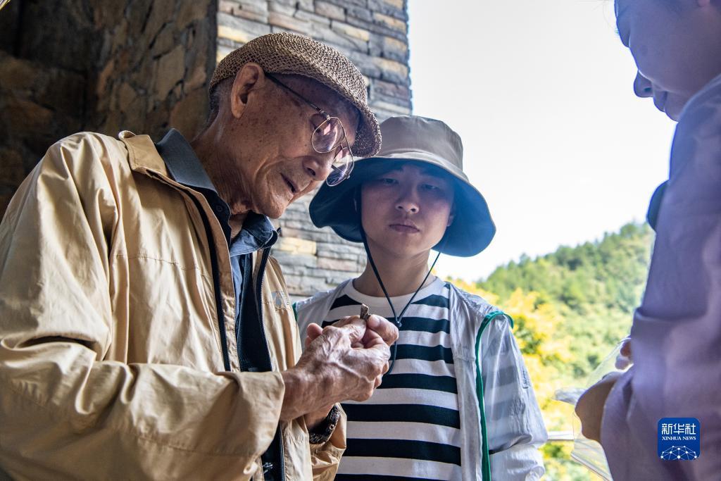 九线水果连线机游戏